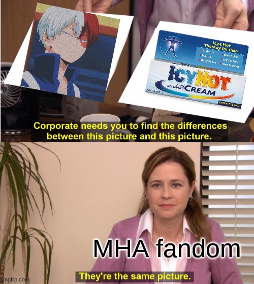 my hero academia meme | MHA fandom | image tagged in memes,they're the same picture,anime meme | made w/ Imgflip meme maker