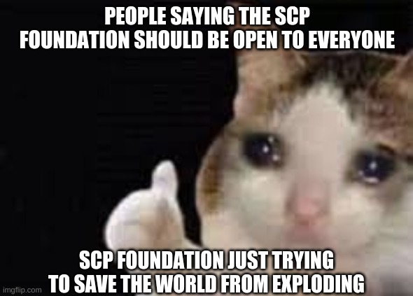 Crying Cat with Thumbs up | PEOPLE SAYING THE SCP FOUNDATION SHOULD BE OPEN TO EVERYONE; SCP FOUNDATION JUST TRYING TO SAVE THE WORLD FROM EXPLODING | image tagged in crying cat with thumbs up | made w/ Imgflip meme maker