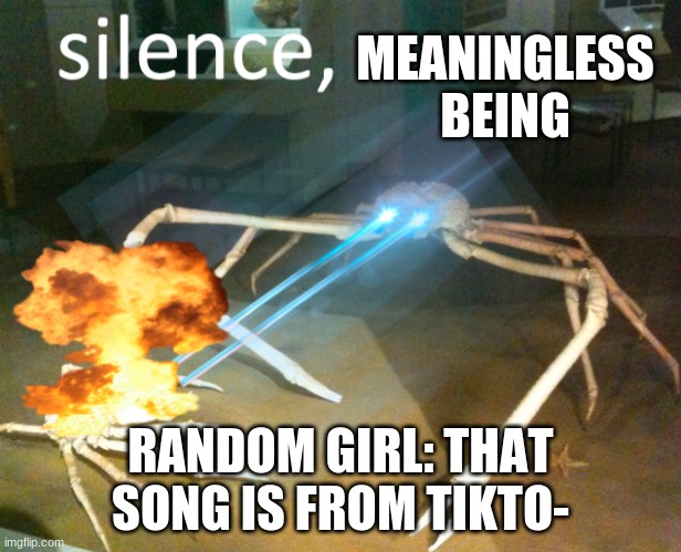 Silence Crab | MEANINGLESS BEING; RANDOM GIRL: THAT SONG IS FROM TIKTO- | image tagged in silence crab | made w/ Imgflip meme maker
