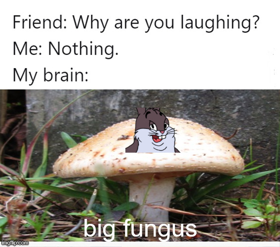 big fungus | big fungus | image tagged in big chungus,mushrooms | made w/ Imgflip meme maker