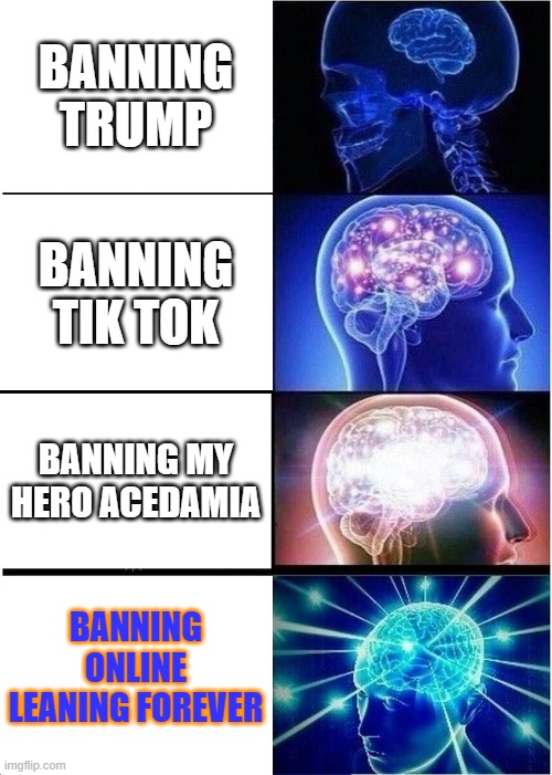 genius | BANNING TRUMP; BANNING TIK TOK; BANNING MY HERO ACEDAMIA; BANNING ONLINE LEANING FOREVER | image tagged in memes,expanding brain | made w/ Imgflip meme maker
