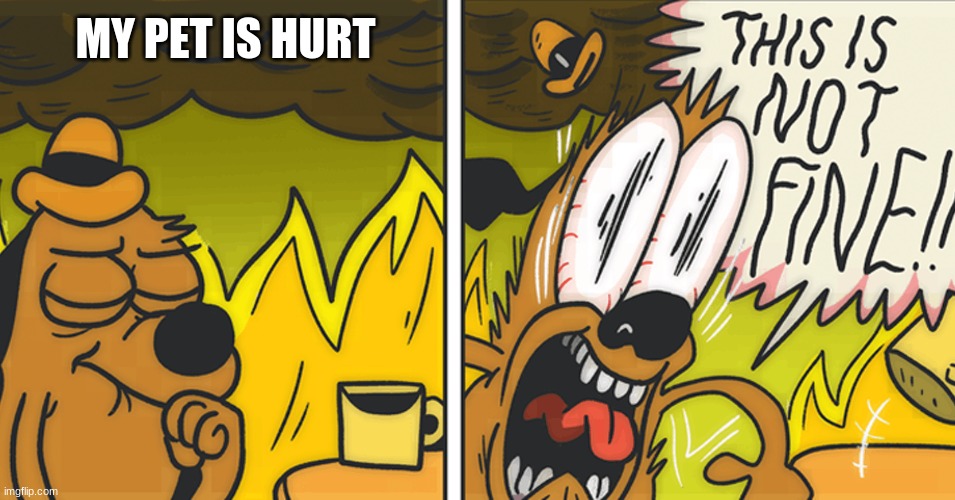 This is not fine | MY PET IS HURT | image tagged in this is not fine | made w/ Imgflip meme maker