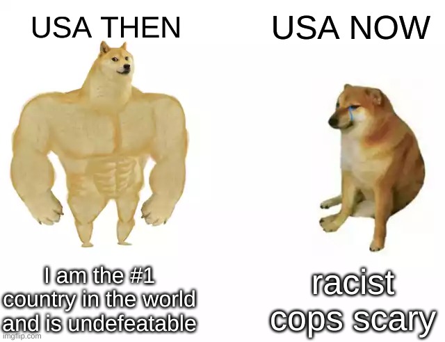 vote trump out | USA NOW; USA THEN; I am the #1 country in the world and is undefeatable; racist cops scary | image tagged in buff doge vs cheems | made w/ Imgflip meme maker