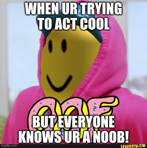Roblox Oof | WHEN UR TRYING TO ACT COOL; BUT EVERYONE KNOWS UR A NOOB! | image tagged in roblox oof | made w/ Imgflip meme maker