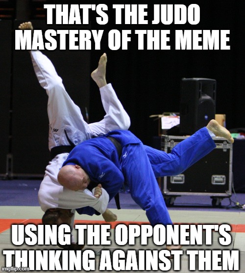 Judo Throw | THAT'S THE JUDO MASTERY OF THE MEME USING THE OPPONENT'S THINKING AGAINST THEM | image tagged in judo throw | made w/ Imgflip meme maker