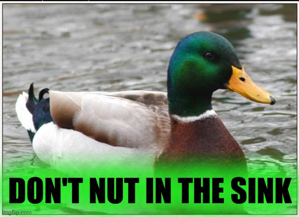 idk | DON'T NUT IN THE SINK | image tagged in memes,actual advice mallard | made w/ Imgflip meme maker