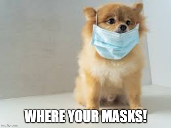 WHERE YOUR MASKS! | image tagged in covid-19 | made w/ Imgflip meme maker