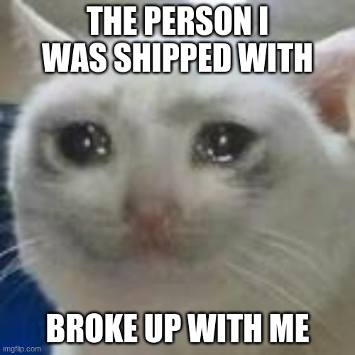:( Halp | THE PERSON I WAS SHIPPED WITH; BROKE UP WITH ME | made w/ Imgflip meme maker