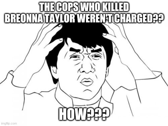 I'mma have to side with the Dems on this one, this makes no sense | THE COPS WHO KILLED BREONNA TAYLOR WEREN'T CHARGED?? HOW??? | image tagged in memes,jackie chan wtf,breonna taylor,all lives matter,injustice,unacceptable | made w/ Imgflip meme maker