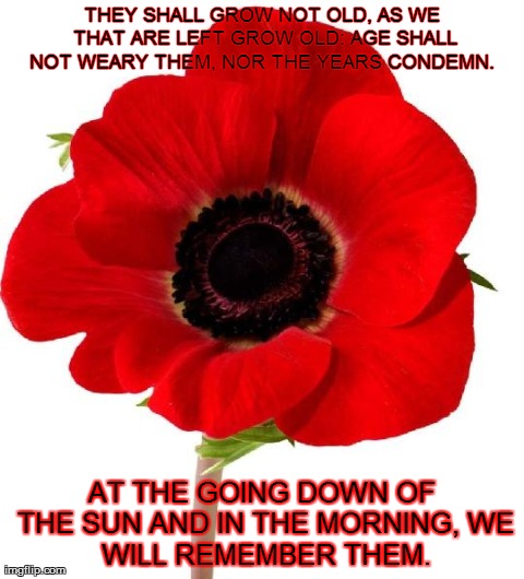 THEY SHALL GROW NOT OLD, AS WE THAT ARE LEFT GROW OLD:
AGE SHALL NOT WEARY THEM, NOR THE YEARS CONDEMN.
 AT THE GOING DOWN OF THE SUN AND IN | image tagged in poppy2013 | made w/ Imgflip meme maker