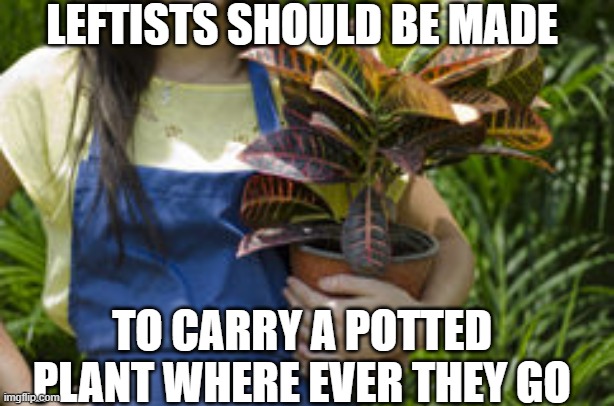 LEFTISTS SHOULD BE MADE TO CARRY A POTTED PLANT WHERE EVER THEY GO | made w/ Imgflip meme maker