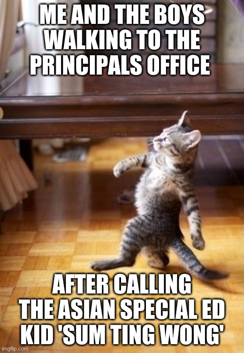 'sum ting wong' meme | ME AND THE BOYS WALKING TO THE PRINCIPAL'S OFFICE; AFTER CALLING THE ASIAN SPECIAL ED KID 'SUM TING WONG' | image tagged in memes,cool cat stroll | made w/ Imgflip meme maker
