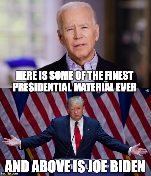 Trump 2020! | HERE IS SOME OF THE FINEST PRESIDENTIAL MATERIAL EVER; AND ABOVE IS JOE BIDEN | image tagged in trump 2020,joe biden,sleepy | made w/ Imgflip meme maker