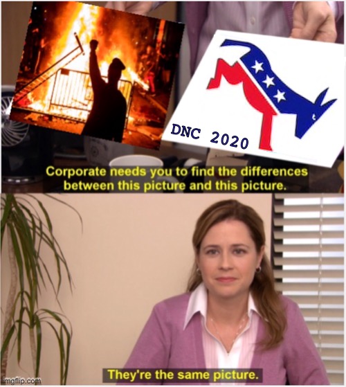 Liberal Chaos | DNC 2020 | image tagged in they're the same picture,liberals,chaos,election 2020,memes | made w/ Imgflip meme maker