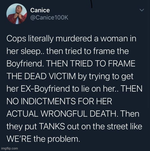 no no he's got a point | image tagged in police brutality | made w/ Imgflip meme maker