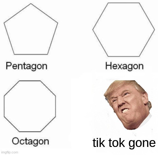 DONALD TRUMP SUCKS RIGHT | tik tok gone | image tagged in memes,pentagon hexagon octagon | made w/ Imgflip meme maker