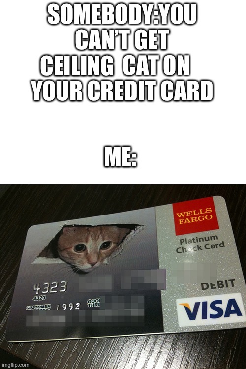Ceiling cat credit card | CEILING | image tagged in ceiling cat,credit card | made w/ Imgflip meme maker