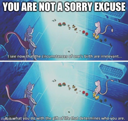YOU ARE NOT A SORRY EXCUSE | made w/ Imgflip meme maker