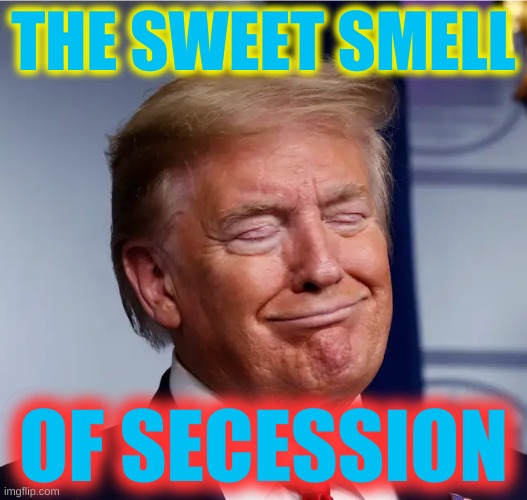if at first we don't succeed, in november we will secede! | THE SWEET SMELL; OF SECESSION | image tagged in two faced trump,secession,civil war,election,white lives matter | made w/ Imgflip meme maker