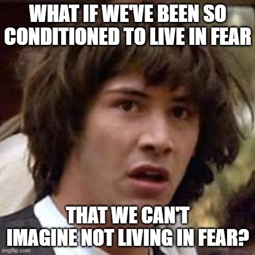 MSM Feeds Us Hourly Doses of COVID Fear Porn | WHAT IF WE'VE BEEN SO CONDITIONED TO LIVE IN FEAR; THAT WE CAN'T IMAGINE NOT LIVING IN FEAR? | image tagged in conspiracy keanu,covid,covid-19,fear,porn,fear porn | made w/ Imgflip meme maker