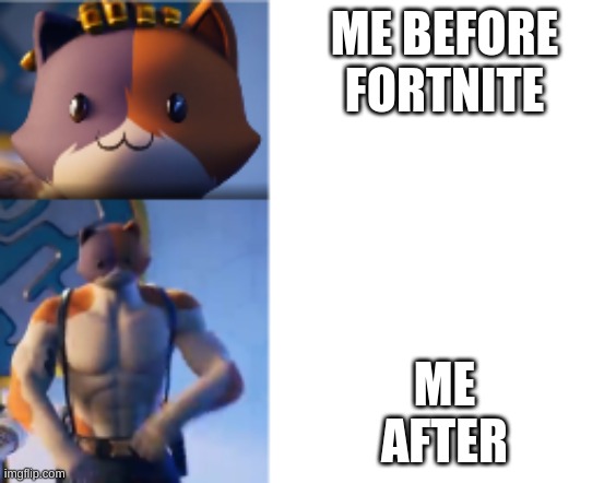 cat meme (Meowscles) | ME BEFORE FORTNITE; ME AFTER | image tagged in cat meme meowscles | made w/ Imgflip meme maker