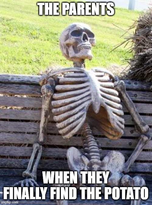 THE PARENTS WHEN THEY FINALLY FIND THE POTATO | image tagged in memes,waiting skeleton | made w/ Imgflip meme maker