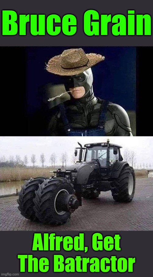 All the pigs on his farm are dressed in black too. He sells "Goth Ham" | Bruce Grain; Alfred, Get The Batractor | image tagged in memes,batman,batman farm | made w/ Imgflip meme maker