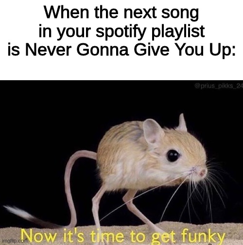 Bring on the funk | When the next song in your spotify playlist is Never Gonna Give You Up: | image tagged in blank white template,now it s time to get funky | made w/ Imgflip meme maker