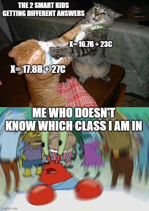 Smart kid battle | THE 2 SMART KIDS GETTING DIFFERENT ANSWERS; X= 16.7B + 23C; X= 17.8B + 27C; ME WHO DOESN'T KNOW WHICH CLASS I AM IN | image tagged in two cats fighting for real,memes,mr krabs blur meme | made w/ Imgflip meme maker