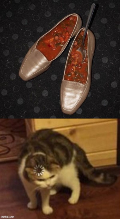 ew | image tagged in loading cat,shoe soup | made w/ Imgflip meme maker