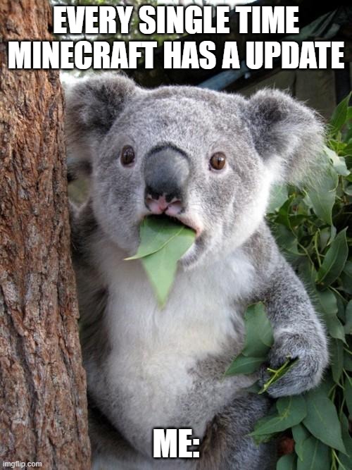 Surprised Koala | EVERY SINGLE TIME MINECRAFT HAS A UPDATE; ME: | image tagged in memes,surprised koala | made w/ Imgflip meme maker