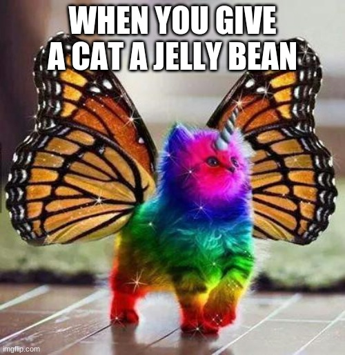Rainbow unicorn butterfly kitten | WHEN YOU GIVE A CAT A JELLY BEAN | image tagged in rainbow unicorn butterfly kitten | made w/ Imgflip meme maker