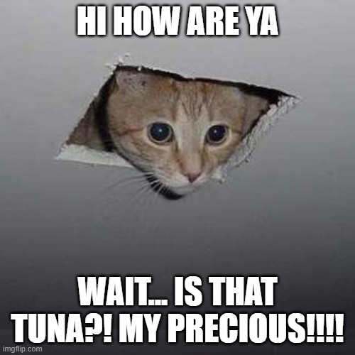 hi how r ya cat in the ceiling | HI HOW ARE YA; WAIT... IS THAT TUNA?! MY PRECIOUS!!!! | image tagged in memes,ceiling cat | made w/ Imgflip meme maker