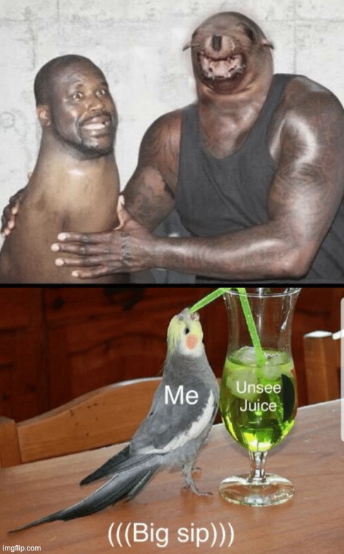 took me a moment to realize that it was a seal | image tagged in unsee juice,funny memes,memes,funny,cursed image,face swap | made w/ Imgflip meme maker