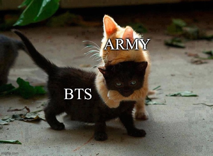 ARMY LUVS BTS!! | ARMY; BTS | image tagged in kitten hug | made w/ Imgflip meme maker