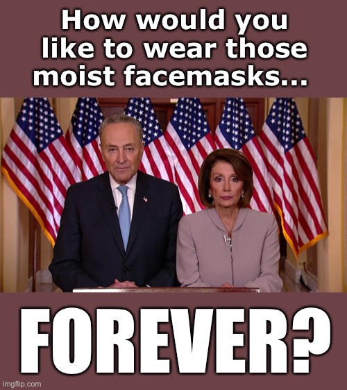 Pelosi and Schumer must be stopped... | How would you like to wear those moist facemasks... FOREVER? | image tagged in nancy and chuck,ConservativesOnly | made w/ Imgflip meme maker
