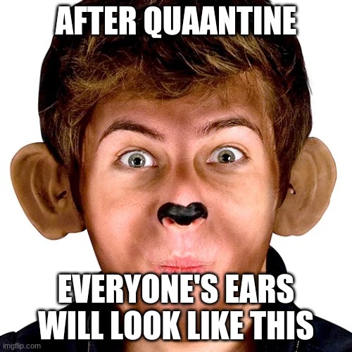 Quarantine Ears | AFTER QUAANTINE; EVERYONE'S EARS WILL LOOK LIKE THIS | image tagged in quarantine | made w/ Imgflip meme maker