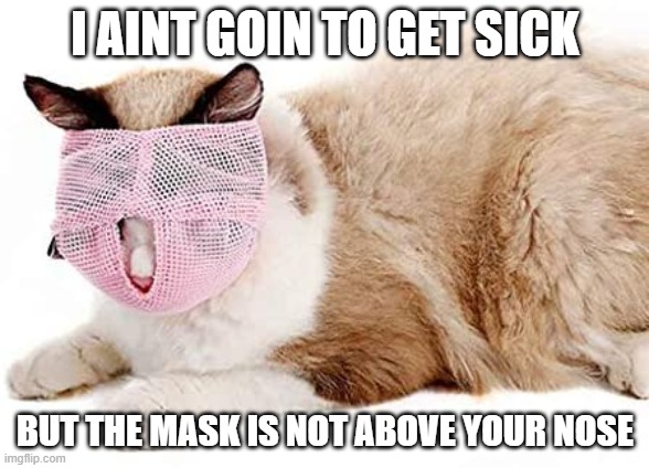 Cat mask | I AINT GOIN TO GET SICK; BUT THE MASK IS NOT ABOVE YOUR NOSE | image tagged in cat mask | made w/ Imgflip meme maker