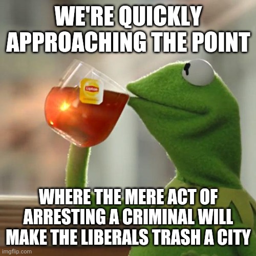 But That's None Of My Business | WE'RE QUICKLY APPROACHING THE POINT; WHERE THE MERE ACT OF ARRESTING A CRIMINAL WILL MAKE THE LIBERALS TRASH A CITY | image tagged in memes,but that's none of my business,kermit the frog | made w/ Imgflip meme maker