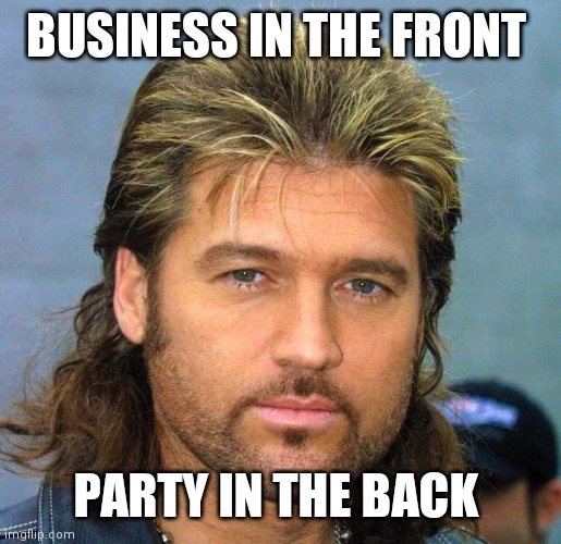Party in the back | BUSINESS IN THE FRONT; PARTY IN THE BACK | image tagged in billy ray | made w/ Imgflip meme maker