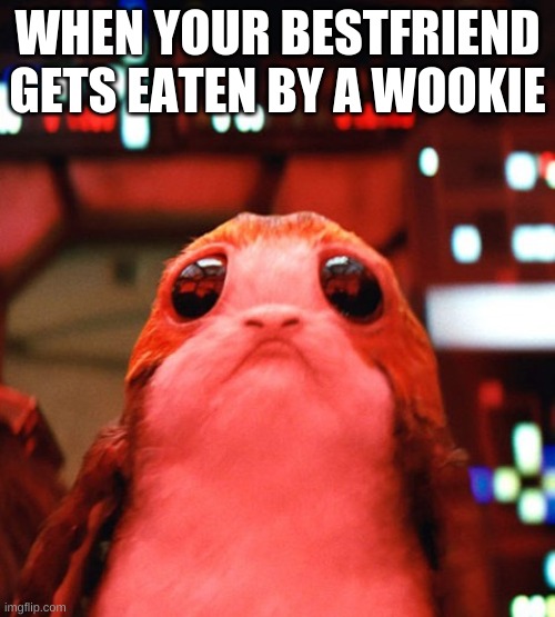 StarWars | WHEN YOUR BESTFRIEND GETS EATEN BY A WOOKIE | image tagged in starwars | made w/ Imgflip meme maker