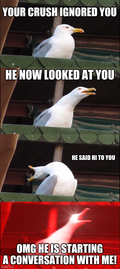 Inhaling Seagull | YOUR CRUSH IGNORED YOU; HE NOW LOOKED AT YOU; HE SAID HI TO YOU; OMG HE IS STARTING A CONVERSATION WITH ME! | image tagged in memes,inhaling seagull | made w/ Imgflip meme maker
