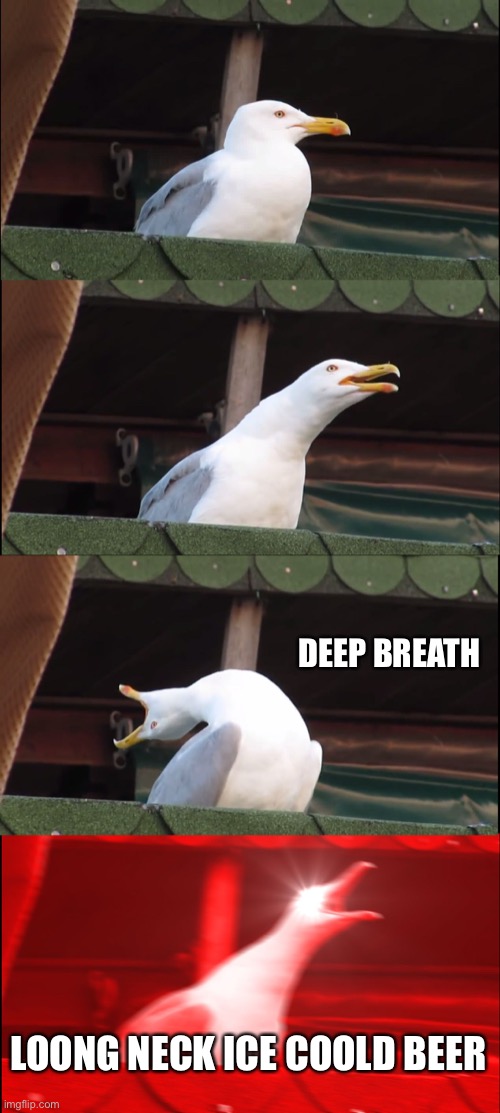 Inhaling Seagull | DEEP BREATH; LOONG NECK ICE COOLD BEER | image tagged in memes,inhaling seagull | made w/ Imgflip meme maker