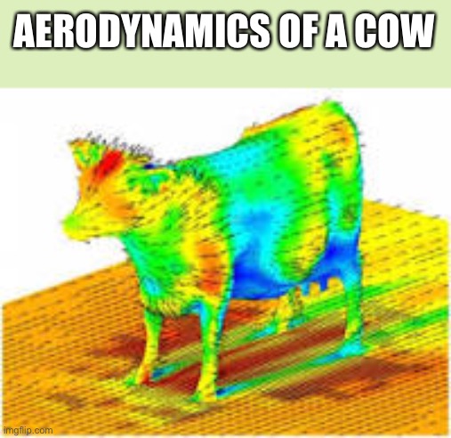 Aerodynamics of a cow | AERODYNAMICS OF A COW | image tagged in aerodynamics of a cow | made w/ Imgflip meme maker