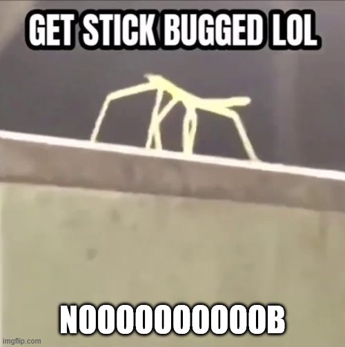 STIK BUGGED | NOOOOOOOOOOB | image tagged in get stick bugged lol | made w/ Imgflip meme maker