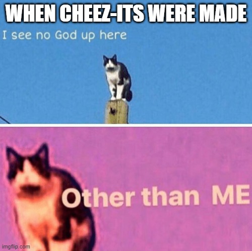 Hail pole cat | WHEN CHEEZ-ITS WERE MADE | image tagged in hail pole cat | made w/ Imgflip meme maker
