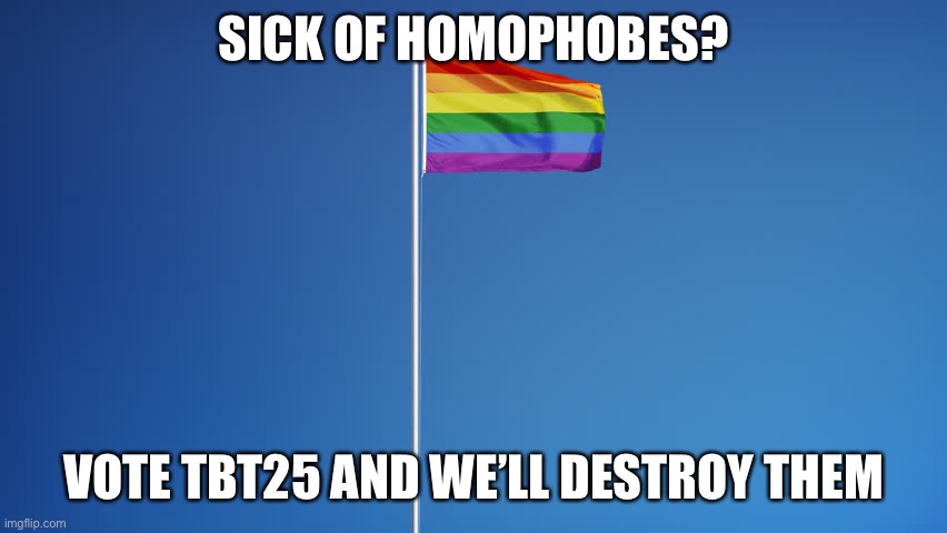 Vote TBT25 For President! Ask any questions | SICK OF HOMOPHOBES? VOTE TBT25 AND WE’LL DESTROY THEM | image tagged in lgbtq flag | made w/ Imgflip meme maker