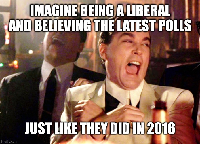 Good Fellas Hilarious | IMAGINE BEING A LIBERAL AND BELIEVING THE LATEST POLLS; JUST LIKE THEY DID IN 2016 | image tagged in good fellas hilarious,trump 2020,maga,creepy joe biden,funny | made w/ Imgflip meme maker