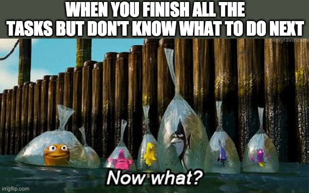 So I finish my task, now what? | WHEN YOU FINISH ALL THE TASKS BUT DON'T KNOW WHAT TO DO NEXT | image tagged in now what,among us,memes | made w/ Imgflip meme maker