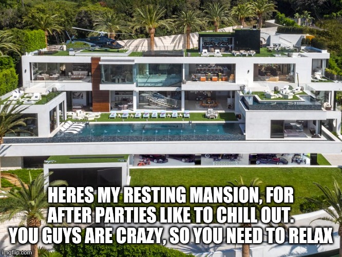 HERES MY RESTING MANSION, FOR AFTER PARTIES LIKE TO CHILL OUT. YOU GUYS ARE CRAZY, SO YOU NEED TO RELAX | image tagged in no more hangovers please | made w/ Imgflip meme maker